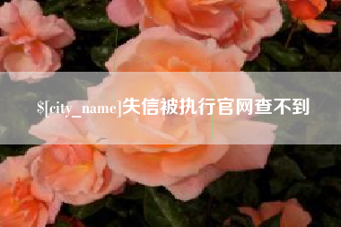 广安失信被执行官网查不到