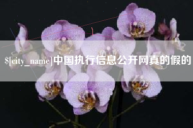 广安中国执行信息公开网真的假的