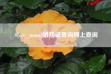 广安消防证查询网上查询
