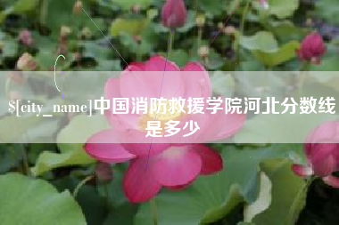 广安中国消防救援学院河北分数线是多少