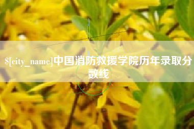 广安中国消防救援学院历年录取分数线