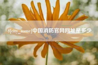 广安中国消防官网网址是多少
