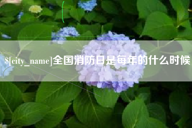 广安全国消防日是每年的什么时候