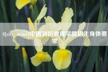 广安中国消防救援学院招生身体要求