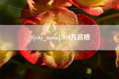 广安2019九宫格