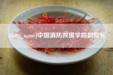 广安中国消防救援学院副院长