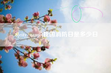 广安我国消防日是多少日