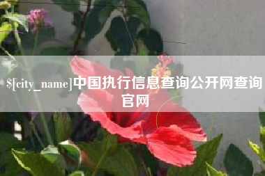 广安中国执行信息查询公开网查询官网
