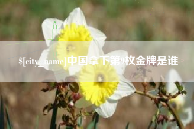 广安中国拿下第9枚金牌是谁