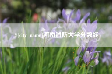 广安河南消防大学分数线