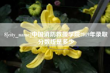 广安中国消防救援学院2019年录取分数线是多少