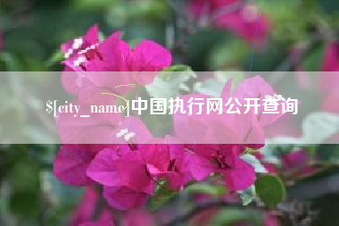广安中国执行网公开查询