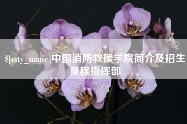 广安中国消防救援学院简介及招生章程指挥部