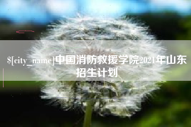 广安中国消防救援学院2021年山东招生计划
