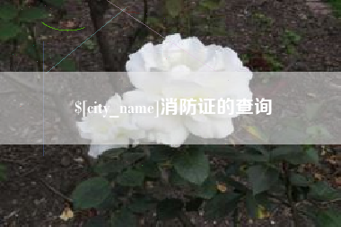 广安消防证的查询