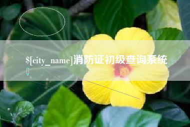 广安消防证初级查询系统