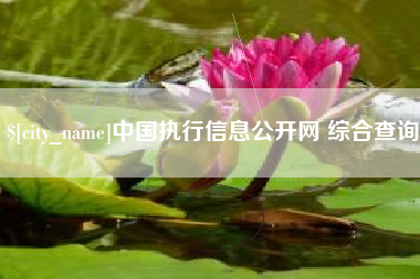 广安中国执行信息公开网 综合查询