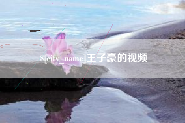 广安王子豪的视频