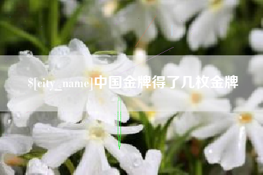 广安中国金牌得了几枚金牌
