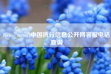 广安中国执行信息公开网客服电话查询