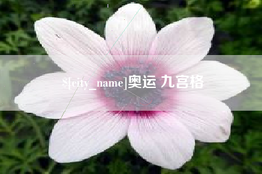 广安奥运 九宫格