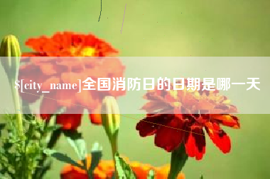 广安全国消防日的日期是哪一天