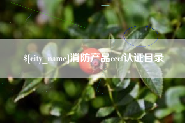 广安消防产品cccf认证目录