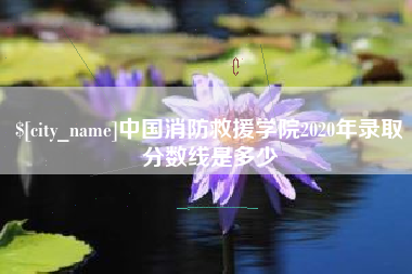 广安中国消防救援学院2020年录取分数线是多少