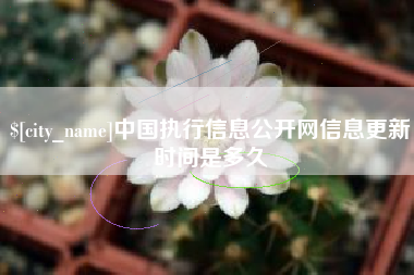 广安中国执行信息公开网信息更新时间是多久