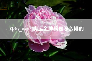 广安奥运金牌榜是怎么排的