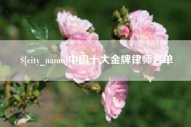 广安中国十大金牌律师名单
