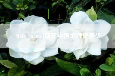 广安现在中国金牌是多少