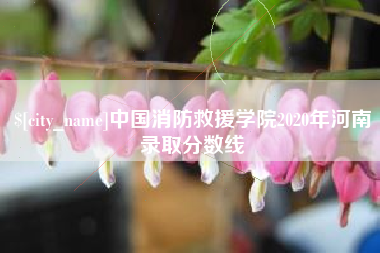 广安中国消防救援学院2020年河南录取分数线