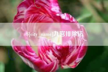 广安九宫排除法