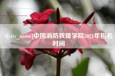 广安中国消防救援学院2021年报名时间