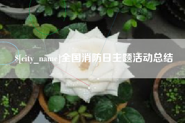 广安全国消防日主题活动总结