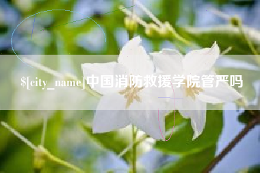 广安中国消防救援学院管严吗
