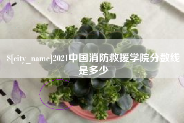 广安2021中国消防救援学院分数线是多少
