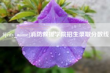 广安消防救援学院招生录取分数线