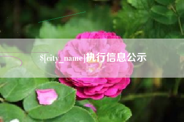 广安执行信息公示