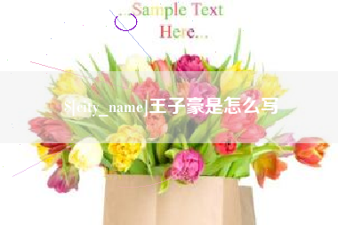 广安王子豪是怎么写