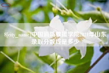 广安中国消防救援学院2021年山东录取分数线是多少