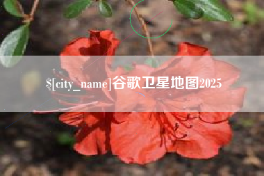 广安谷歌卫星地图2025