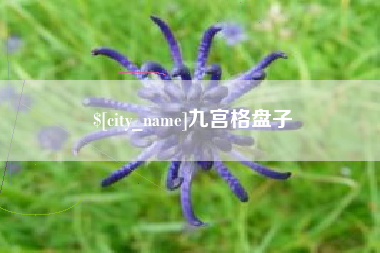 广安九宫格盘子