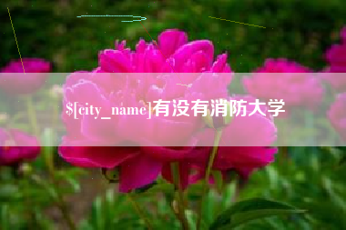 广安有没有消防大学
