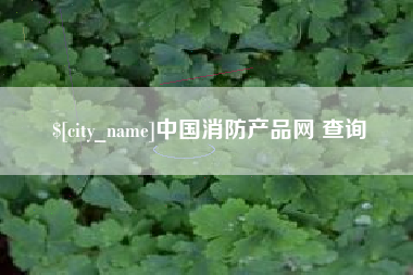 广安中国消防产品网 查询