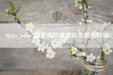 广安国家消防救援队伍报名网址