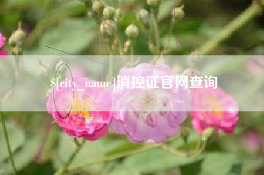 广安消控证官网查询