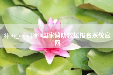 广安2020国家消防救援报名系统官网