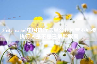 广安中国执行信息公开网查不到被执行人是不是已解除限高